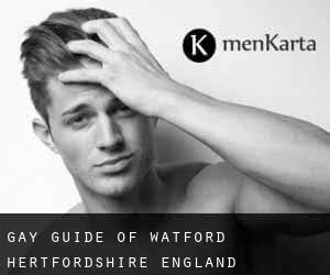 gay escorts watford|Watford 